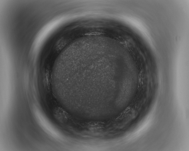 X0000115280146200911061335