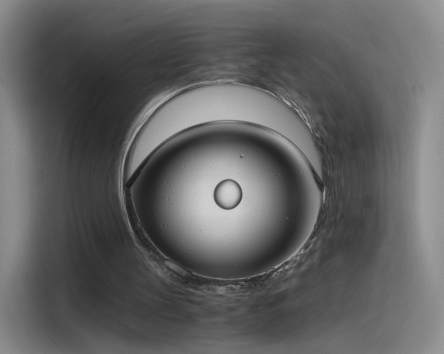 X0000115280147200911061335