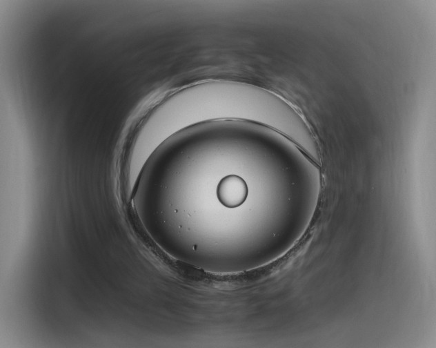 X0000115280149200911061335