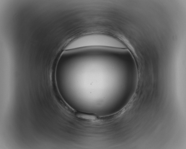 X0000115280154200911061335