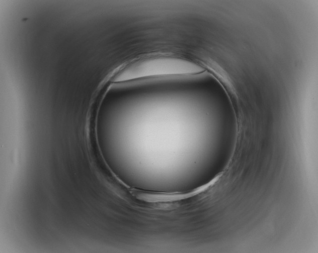 X0000115280155200911061335