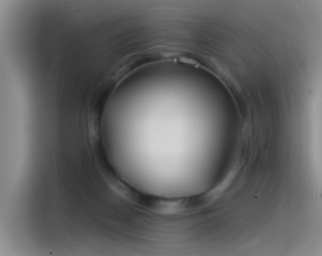 X0000115280170200911061335