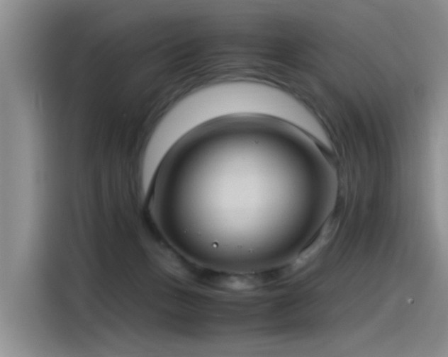 X0000115280175200911061335