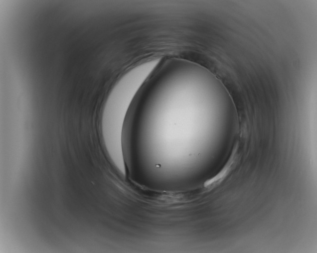 X0000115280179200911061335