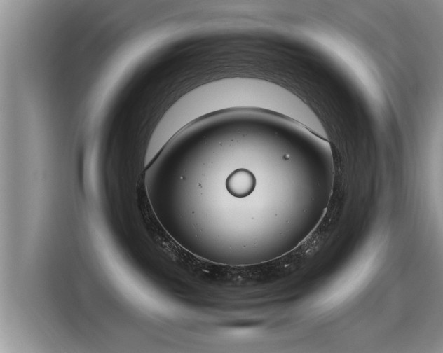 X0000115280189200911061335