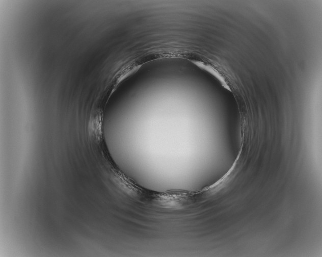 X0000115280190200911061335