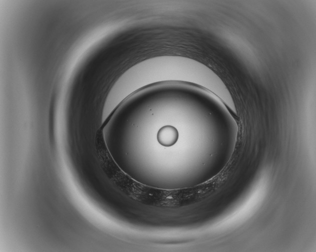 X0000115280191200911061335