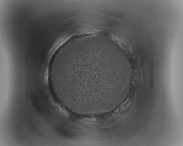 X0000115280194200911061335