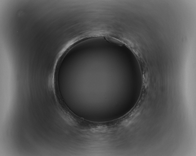 X0000115280196200911061335