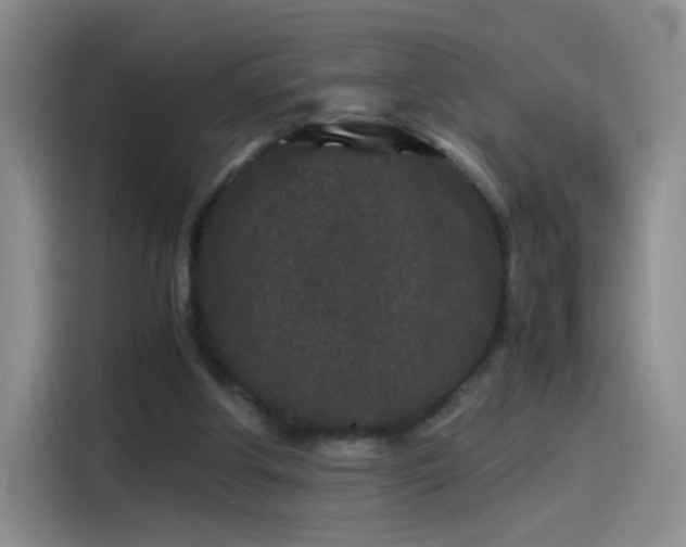 X0000115280202200911061335