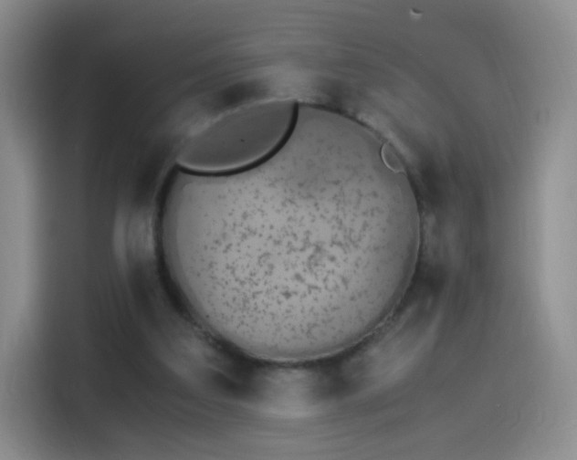 X0000115280203200911061335