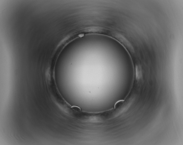 X0000115280204200911061335