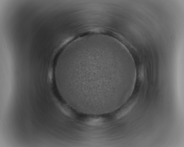 X0000115280206200911061335