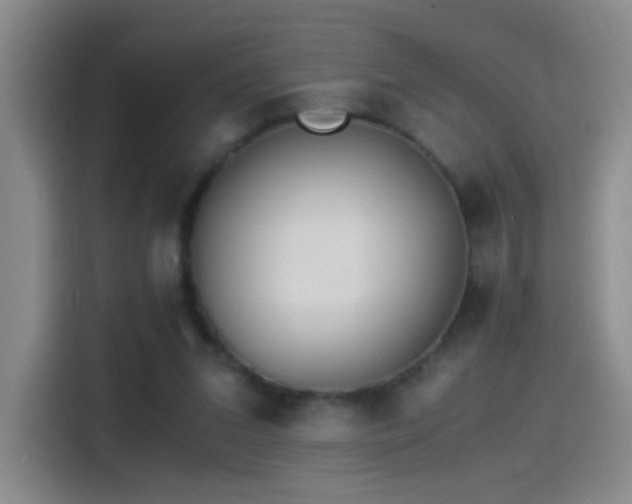 X0000115280207200911061335