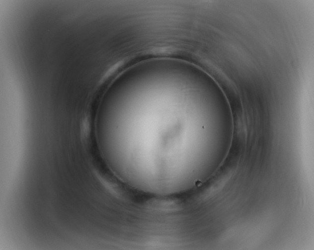 X0000115280208200911061335