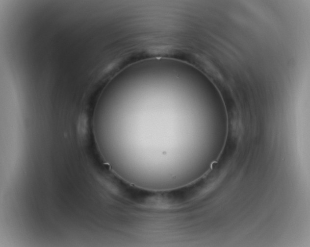 X0000115280211200911061335