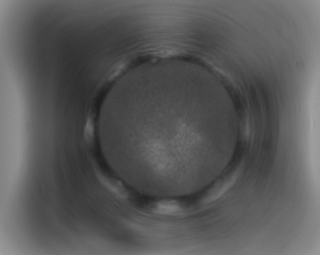 X0000115280214200911061335