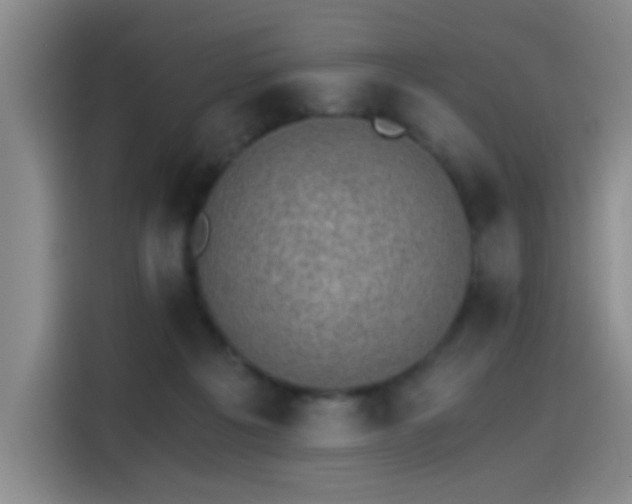 X0000115280217200911061334