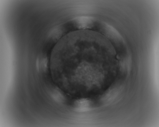 X0000115280219200911061334