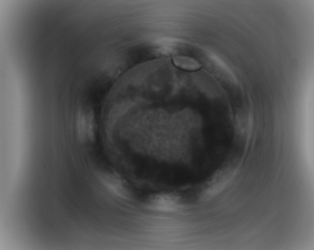X0000115280223200911061334