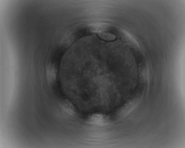 X0000115280227200911061334