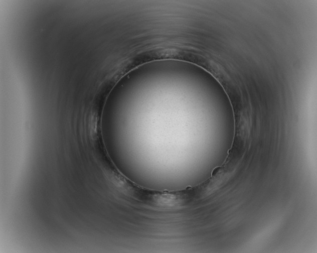 X0000115280230200911061334