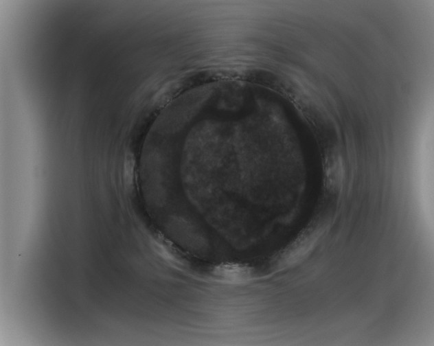 X0000115280231200911061334