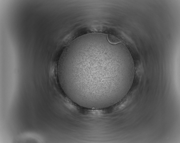X0000115280233200911061334