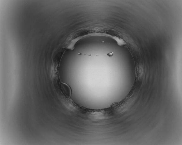 X0000115280236200911061334