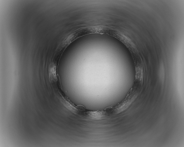 X0000115280238200911061334
