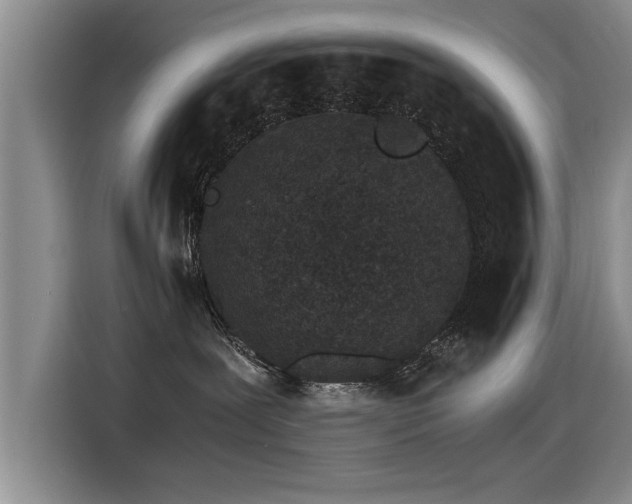 X0000115280239200911061334
