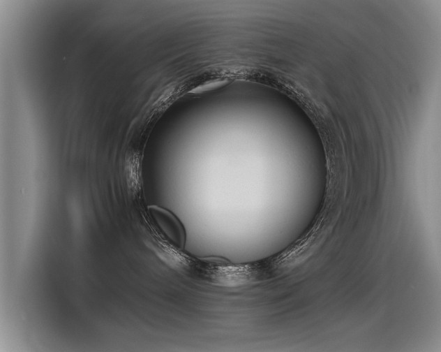 X0000115280240200911061334