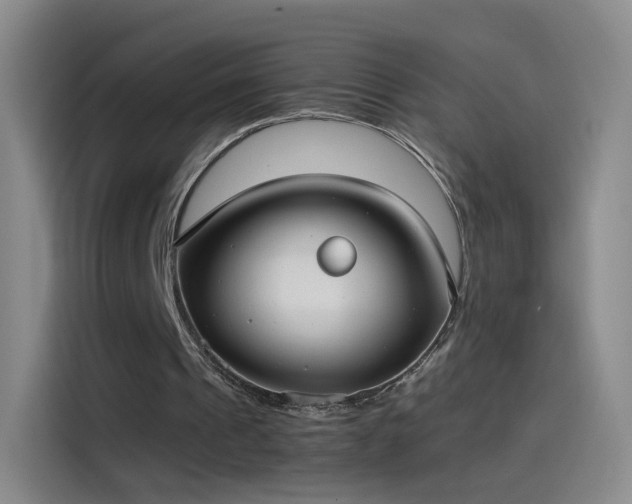 X0000115280241200911061334