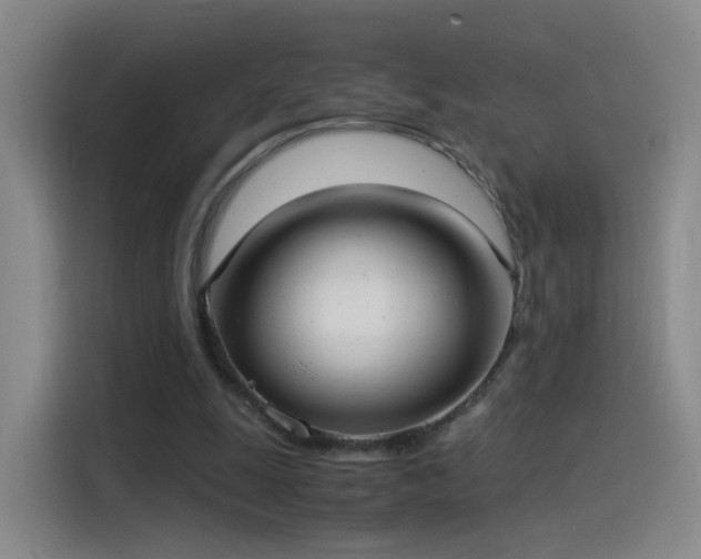 X0000115280247200911061334