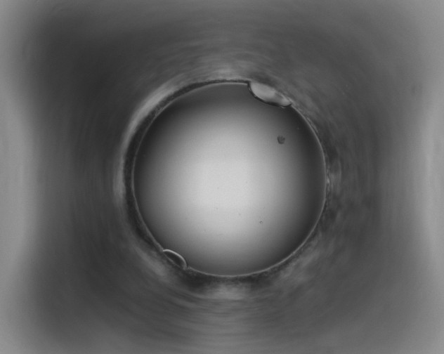 X0000115280248200911061334