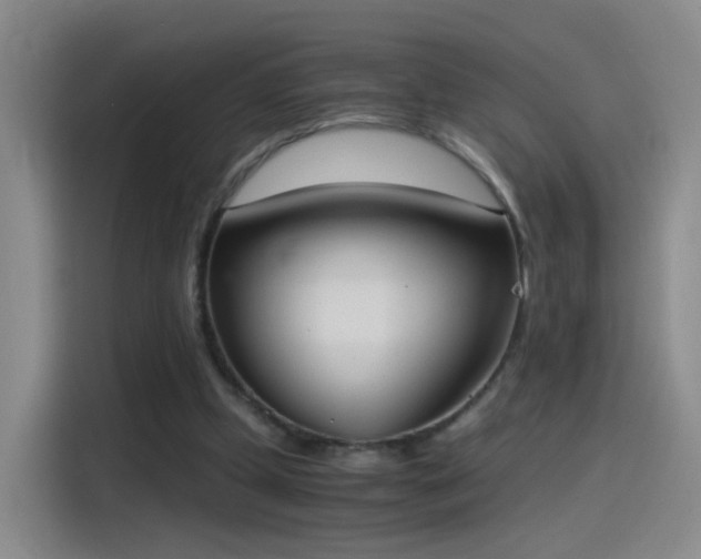 X0000115280249200911061334