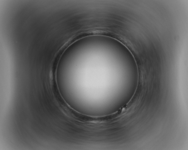 X0000115280251200911061334