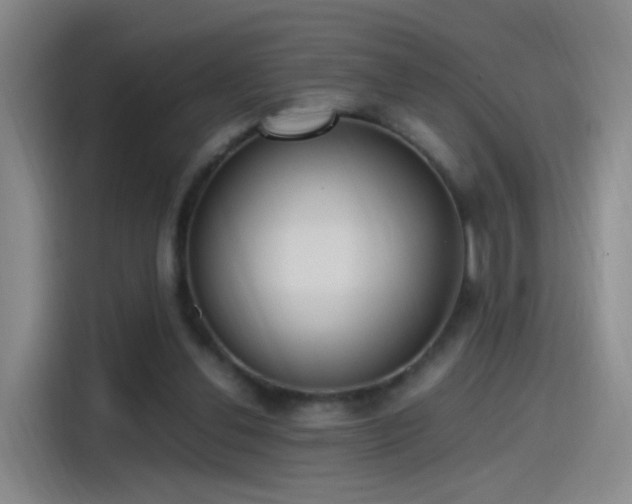 X0000115280252200911061334
