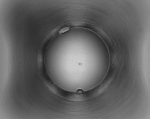 X0000115280260200911061334