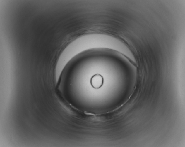 X0000115280261200911061334