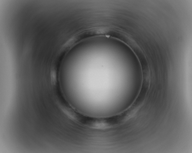 X0000115280262200911061334