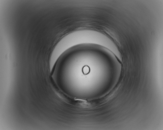 X0000115280265200911061334