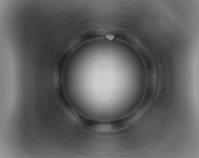 X0000115280266200911061334