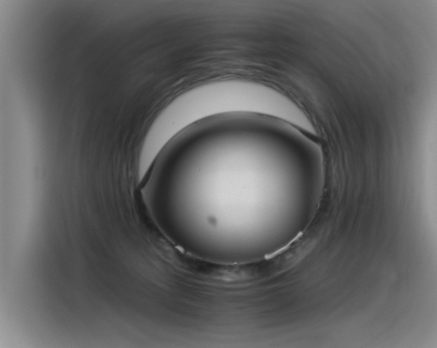 X0000115280275200911061334