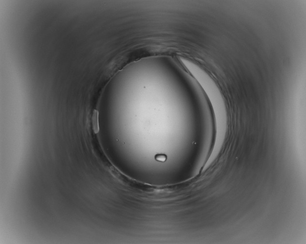 X0000115280277200911061334