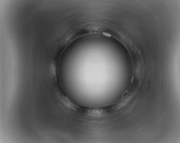 X0000115280282200911061334