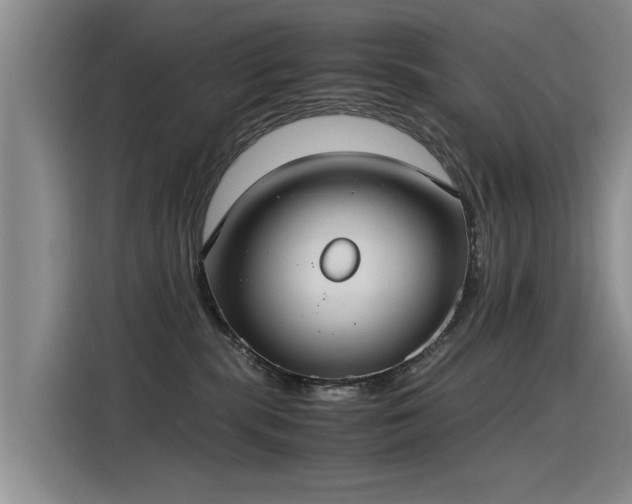 X0000115280283200911061334