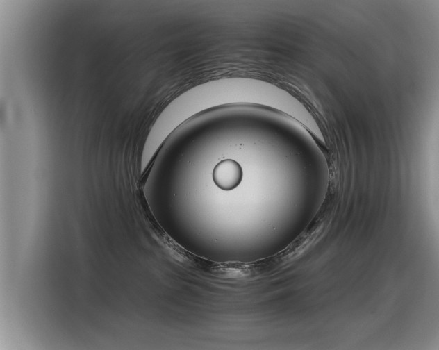 X0000115280285200911061334