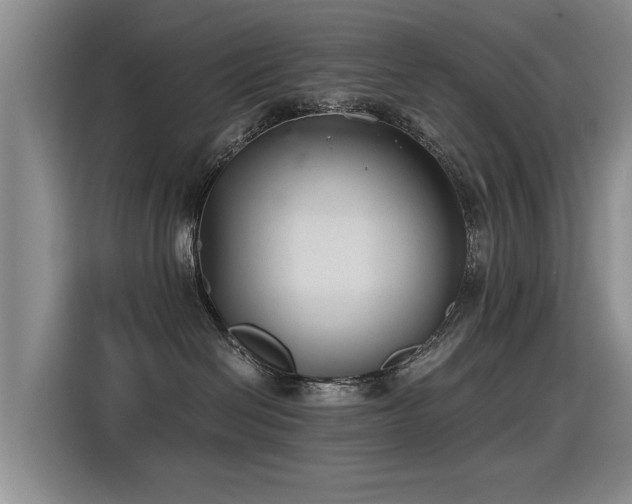 X0000115280286200911061334