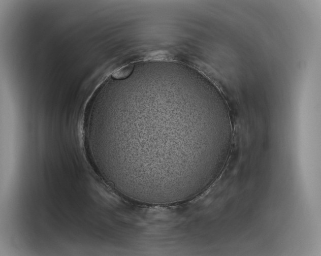 X0000115280290200911061334